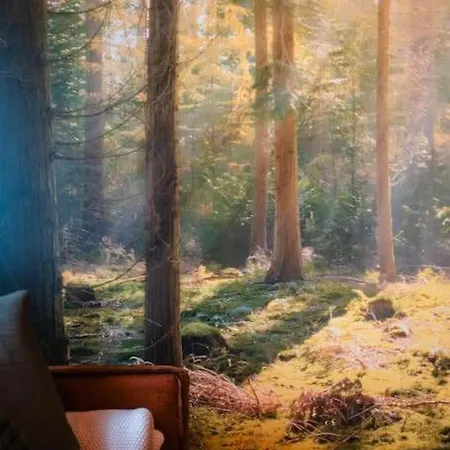 Albpanorama Mit Infrarotsauna Und Gartenblick Apartman *