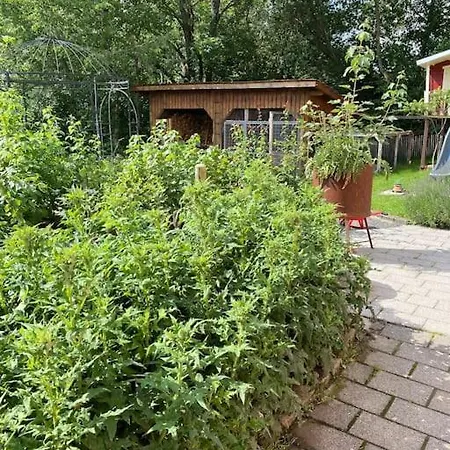 Albpanorama Mit Infrarotsauna Und Gartenblick Apartman